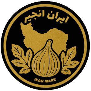لوگوی شرکت بازرگانی ایران انجیر
